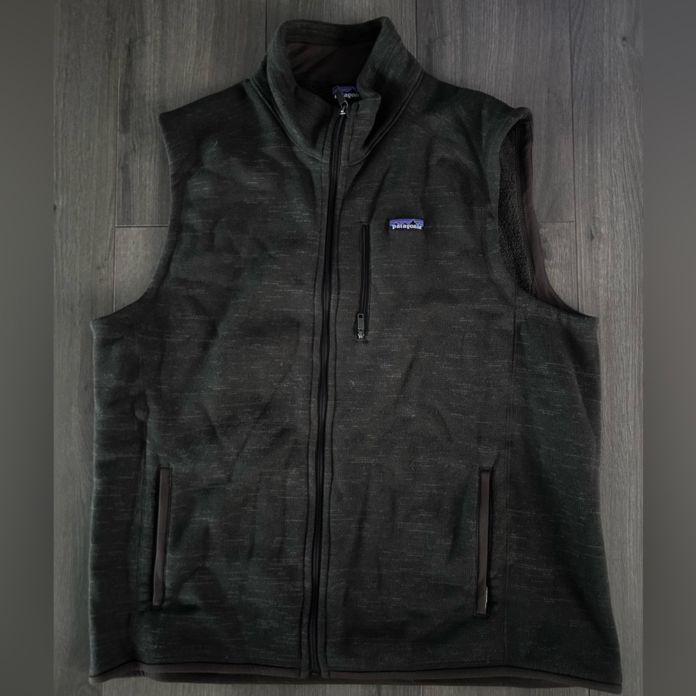Patagonia Men's light brown Vest
